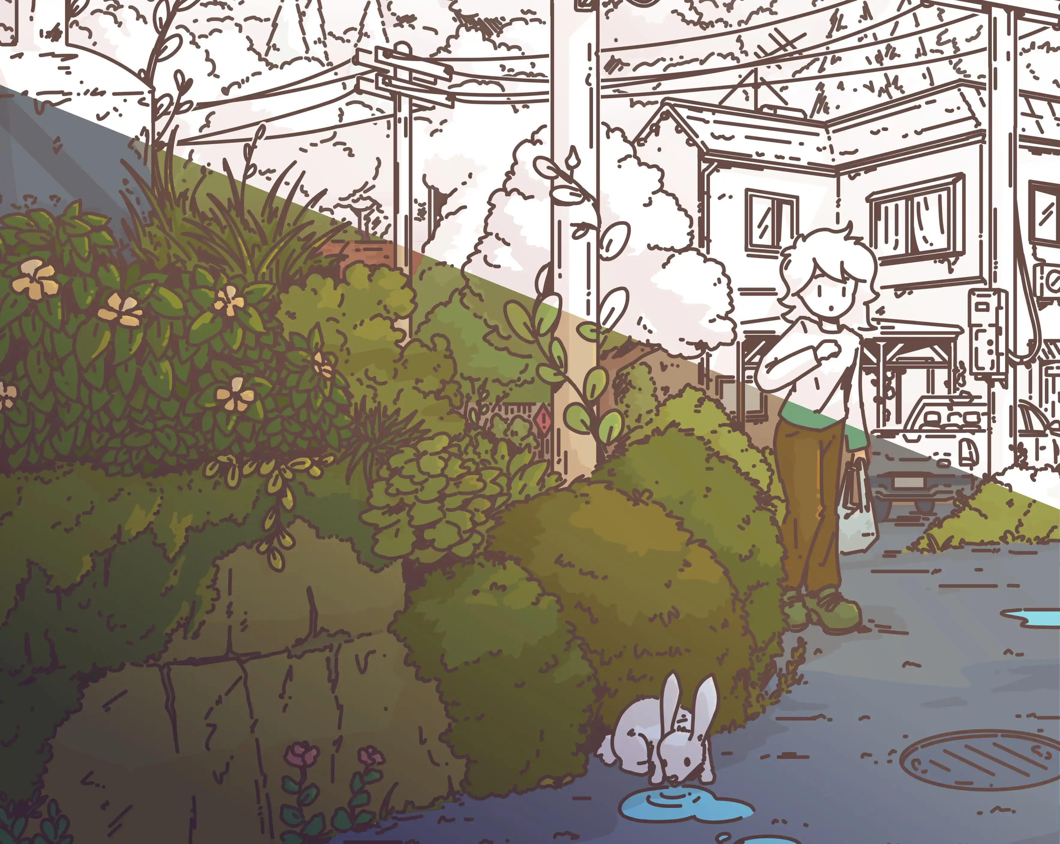 Preview of coloring pages